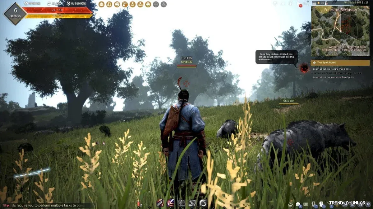 Black Desert Online ekran görüntüsü 2 - Strateji oyunu