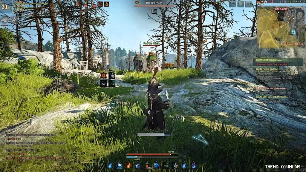 Black Desert Online ekran görüntüsü 8 - Strateji oyunu