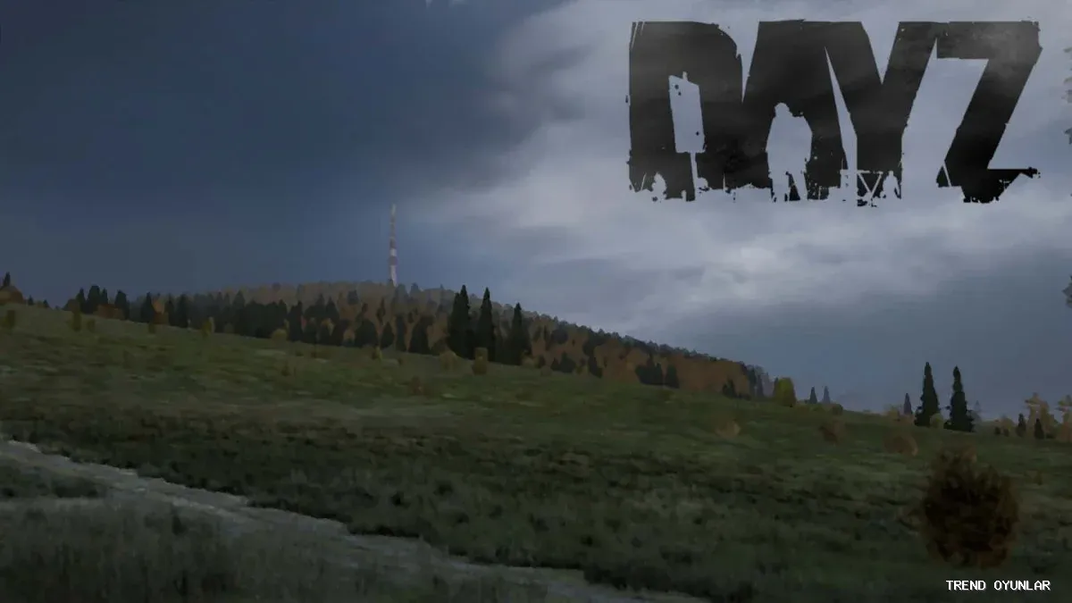 DayZ ekran görüntüsü 3 - Aksiyon oyunu