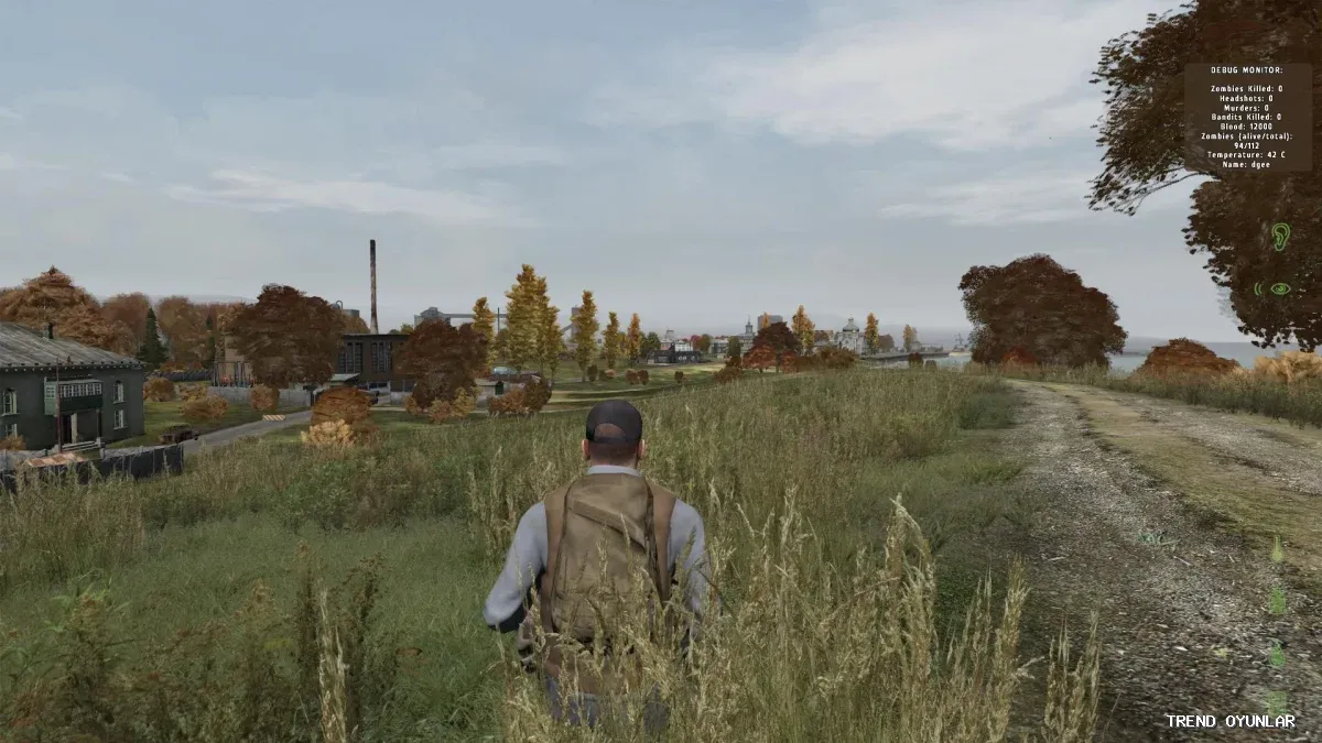 DayZ ekran görüntüsü 4 - Aksiyon oyunu