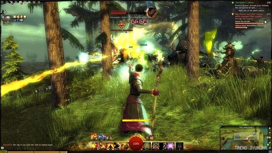 Guild Wars 2 ekran görüntüsü 6 - RPG oyunu
