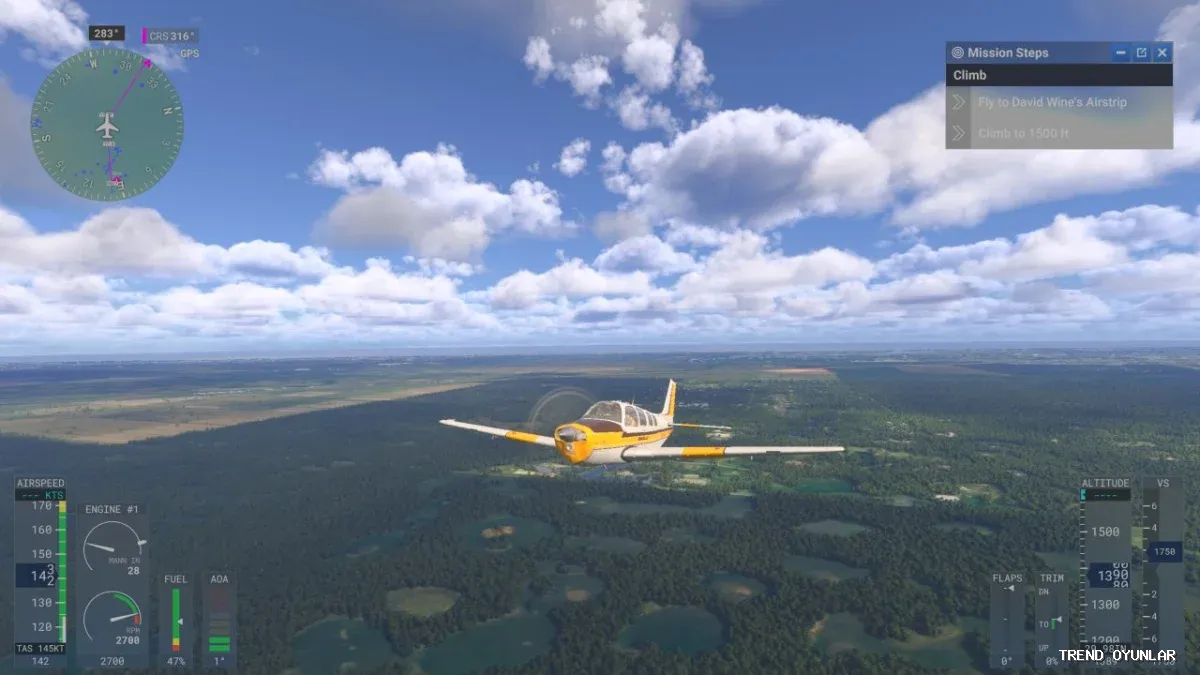 Microsoft Flight Simulator