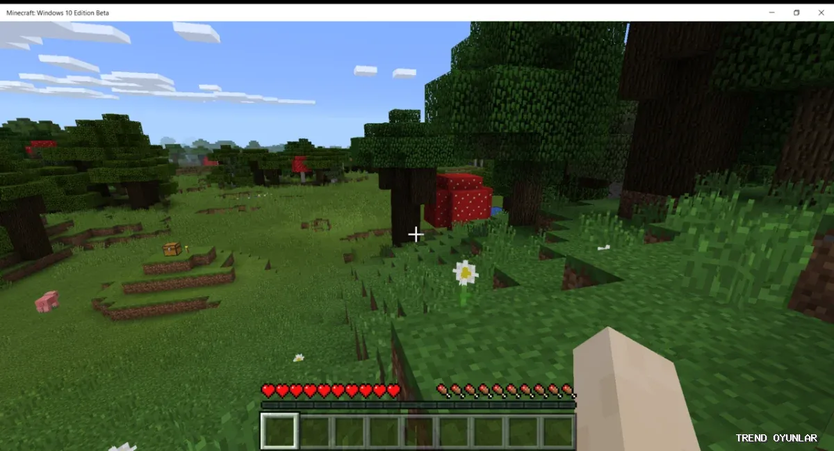 Minecraft ekran görüntüsü 7 - Macera oyunu