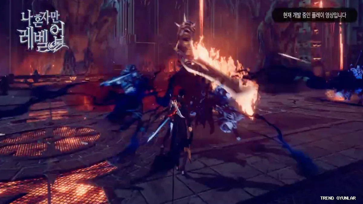 Solo Leveling: Arise ekran görüntüsü 7 - RPG oyunu