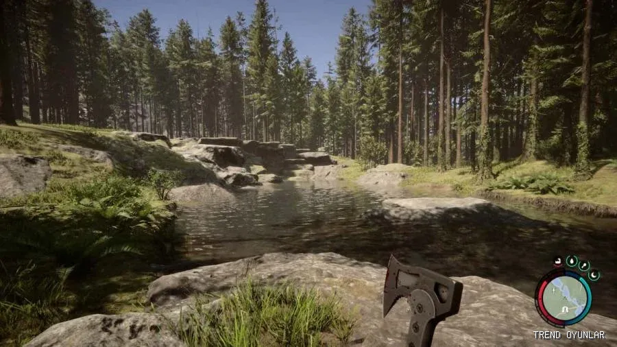 Sons of the Forest ekran görüntüsü 5 - Aksiyon oyunu