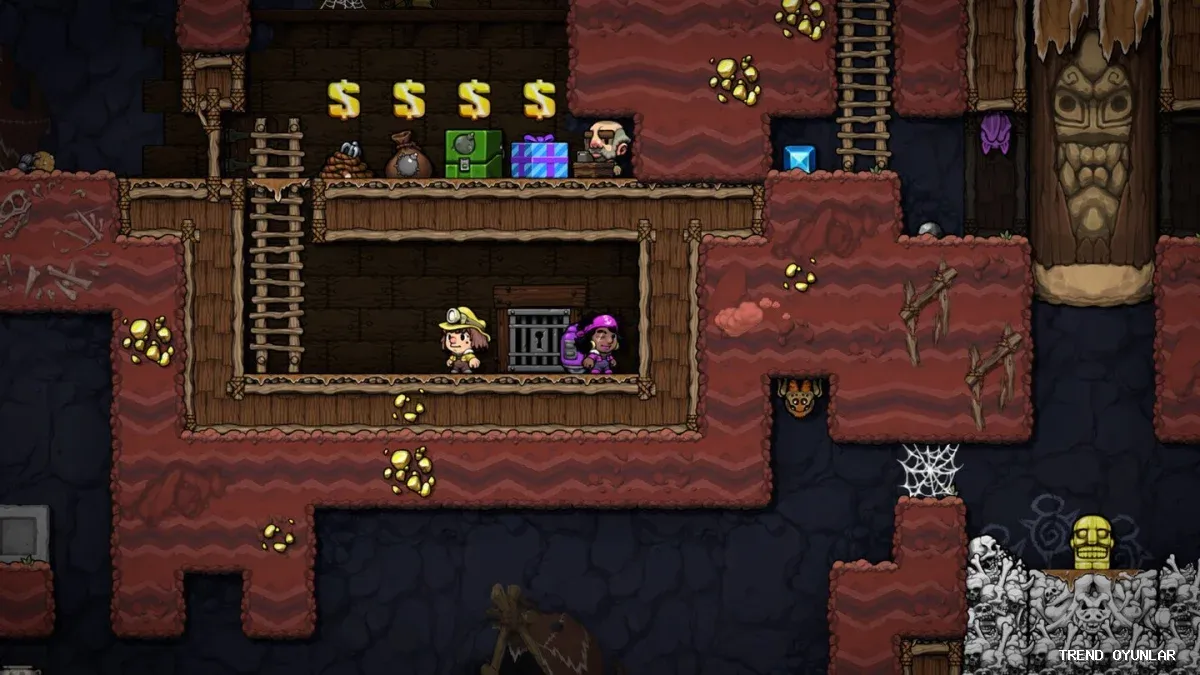 Spelunky 2 indir - Macera oyunu ekran görüntüsü