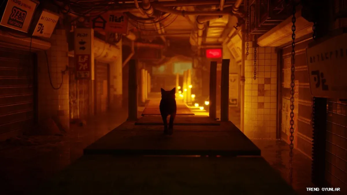 Stray ekran görüntüsü 2 - Spor oyunu