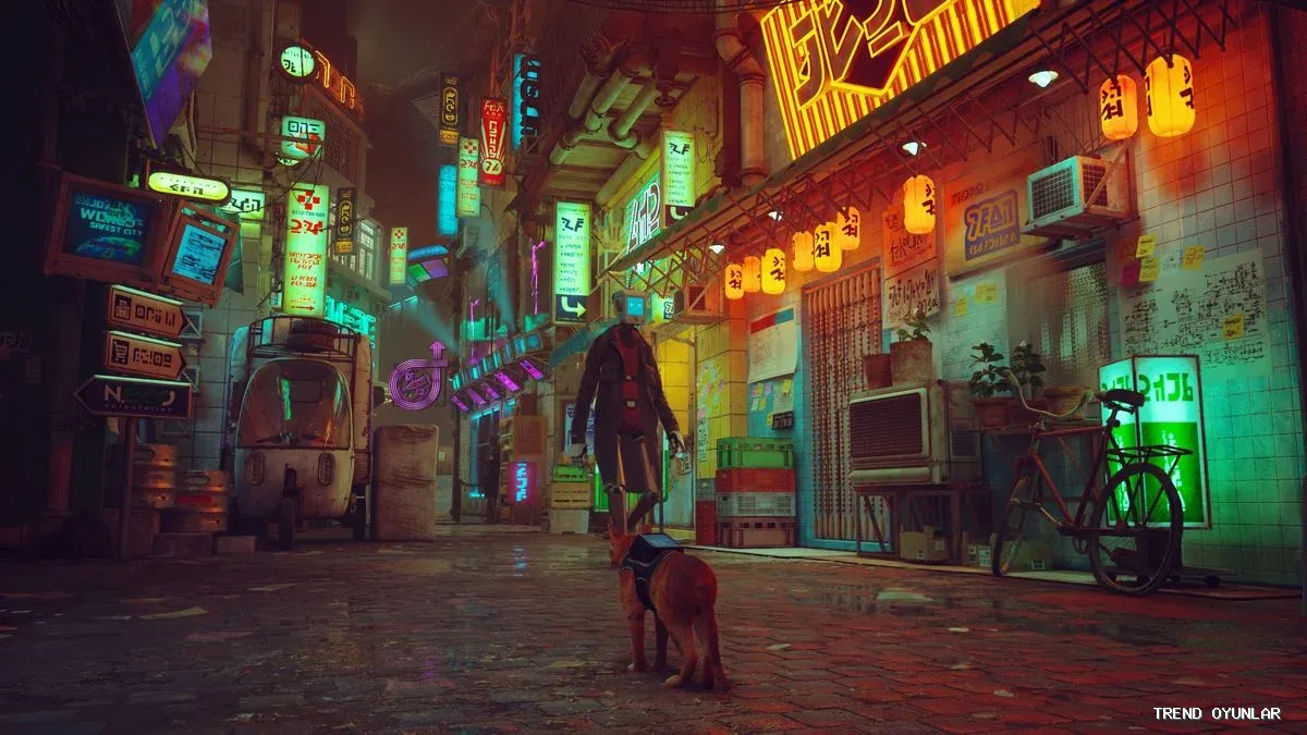 Stray ekran görüntüsü 3 - Spor oyunu