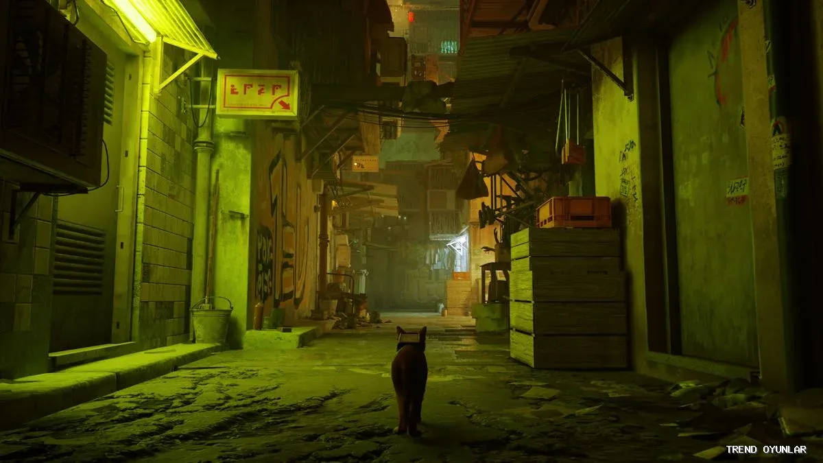 Stray ekran görüntüsü 4 - Spor oyunu
