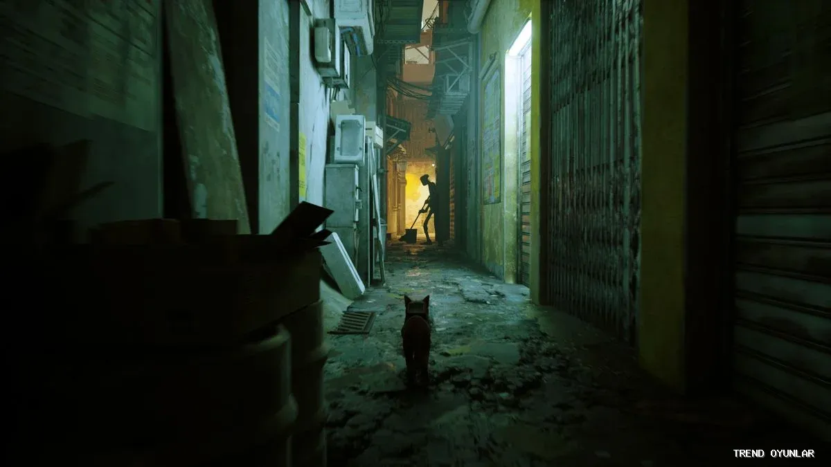 Stray ekran görüntüsü 6 - Spor oyunu