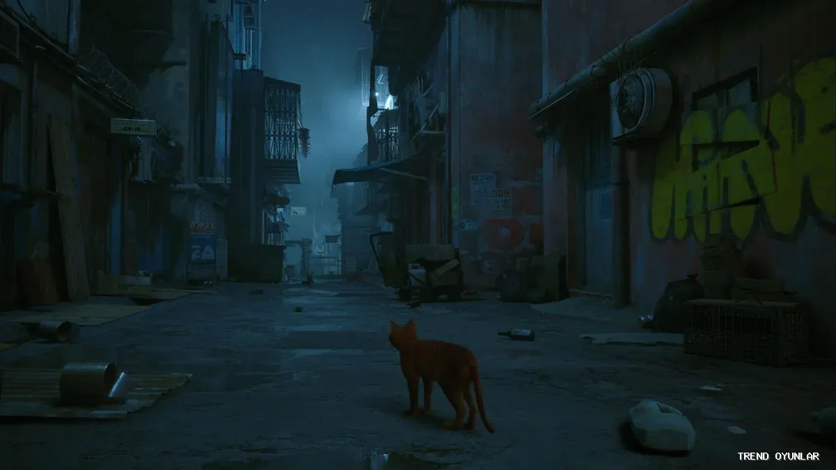 Stray ekran görüntüsü 8 - Spor oyunu