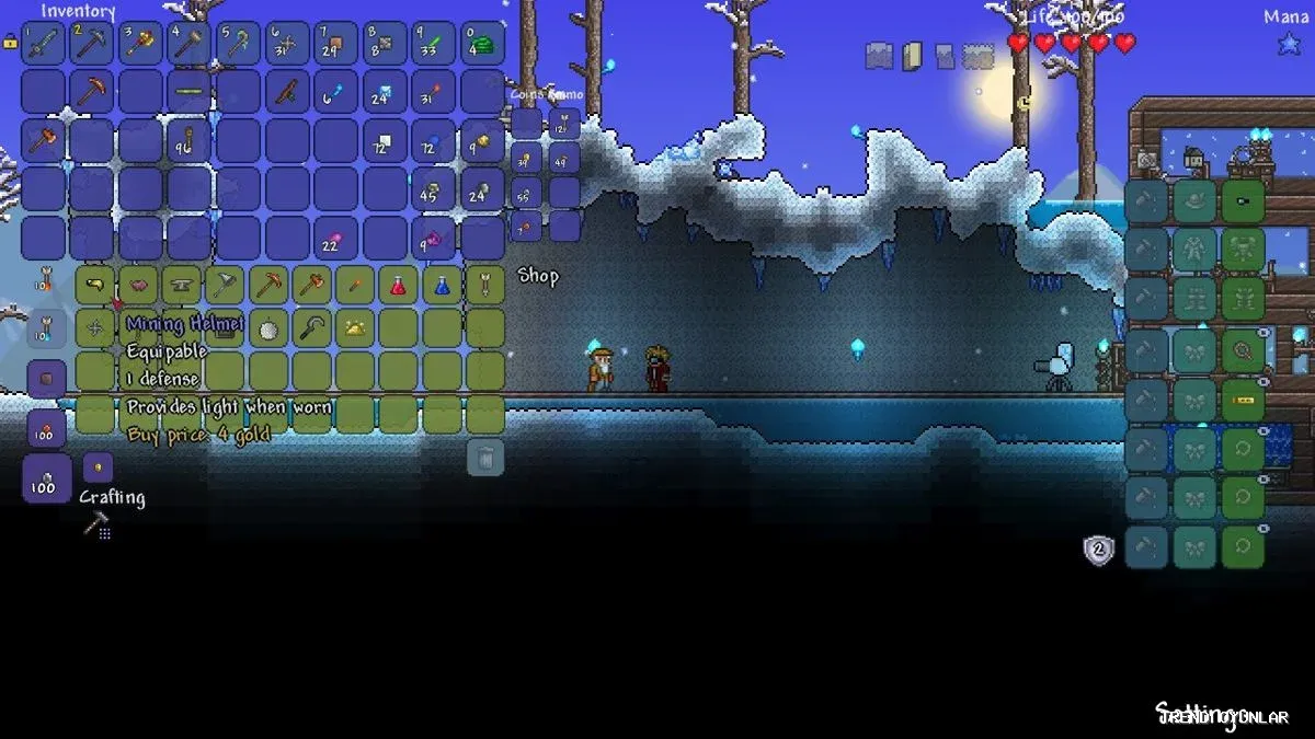 Terraria indir - Macera oyunu ekran görüntüsü