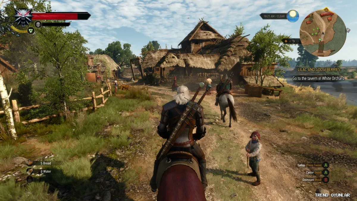The Witcher 3: Wild Hunt ekran görüntüsü 5 - Simülasyon oyunu