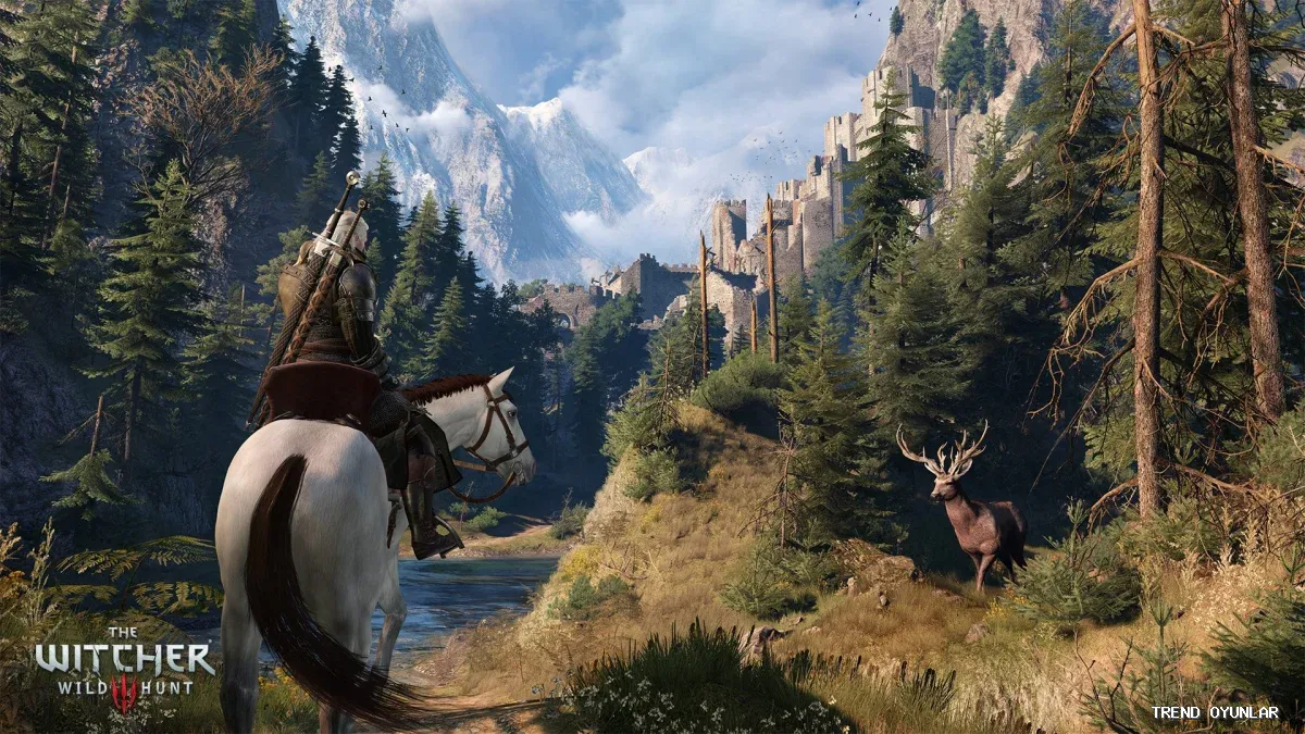The Witcher 3: Wild Hunt ekran görüntüsü 7 - Simülasyon oyunu